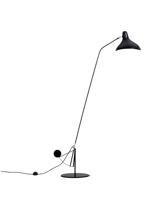 Long Arm Duckbill Floor Lamp