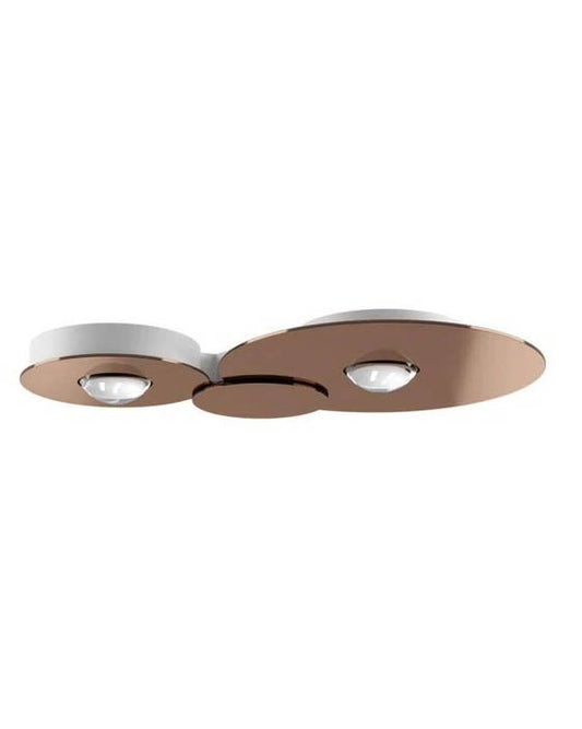 Metal Flower Ceiling Light-2 Light