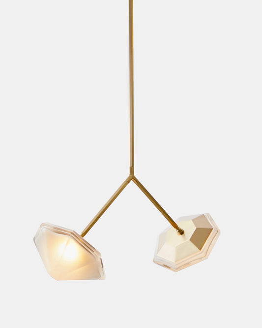 Myriad Branch Pendant light